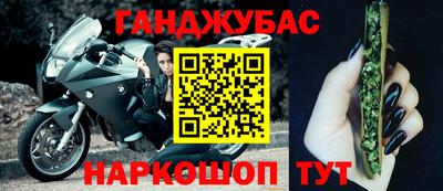 гашик Аргун
